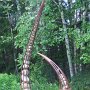 Scultpure